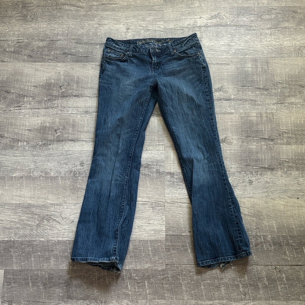 American Eagle Hipster Flare Jean